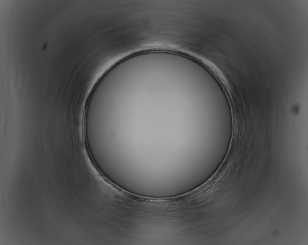 X0000090411295200707130917