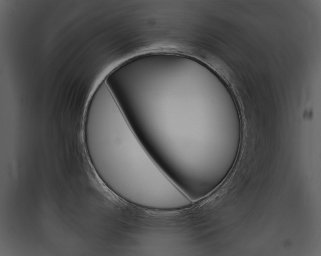 X0000090411296200707130917