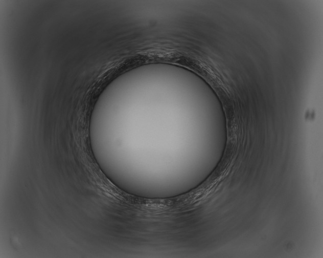 X0000090411297200707130916
