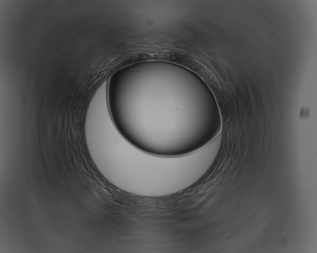 X0000090411298200707130916