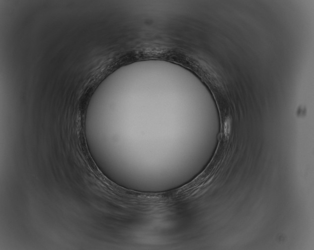 X0000090411299200707130916
