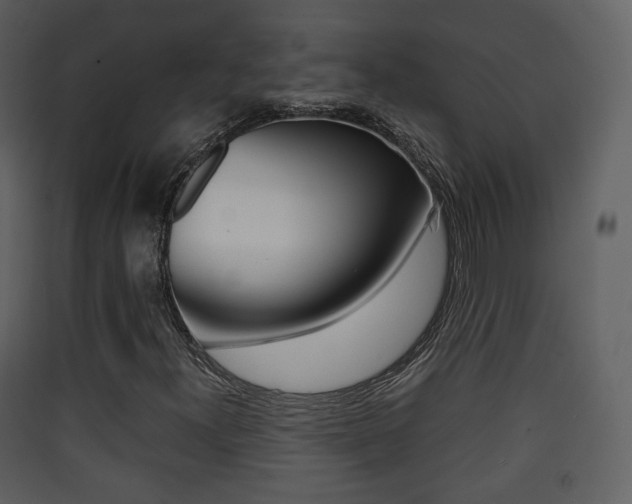 X0000090411300200707130916