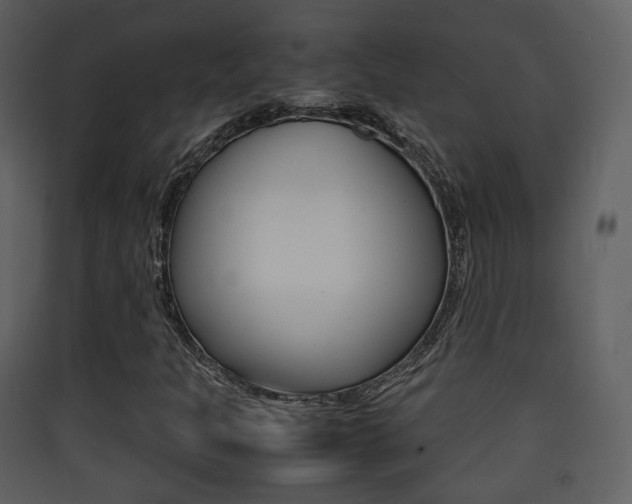 X0000090411301200707130916