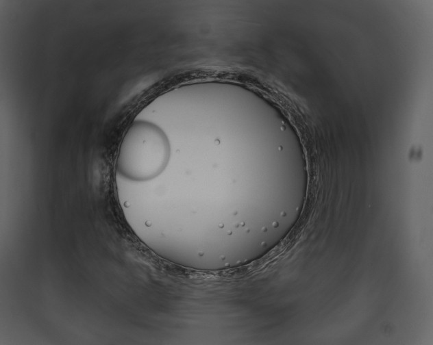 X0000090411302200707130916