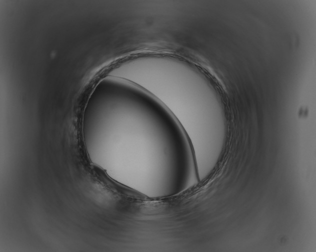 X0000090411304200707130916