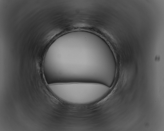 X0000090411305200707130916