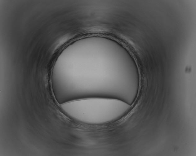 X0000090411306200707130916