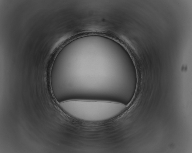 X0000090411307200707130916