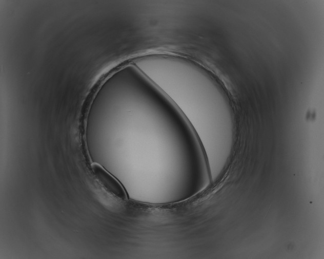 X0000090411308200707130916