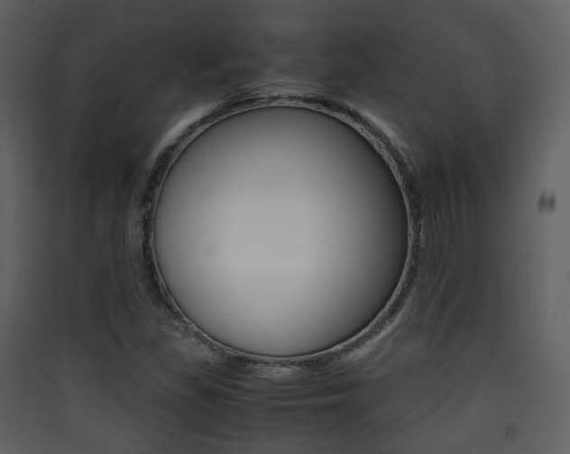 X0000090411309200707130916