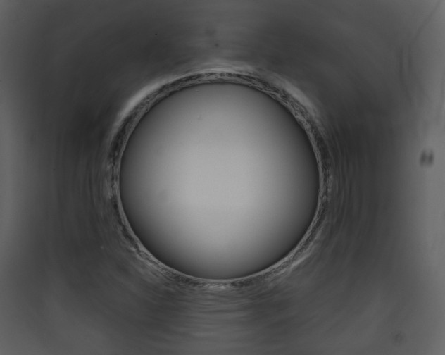 X0000090411310200707130916