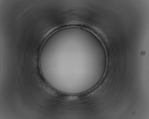 X0000090411313200707130916
