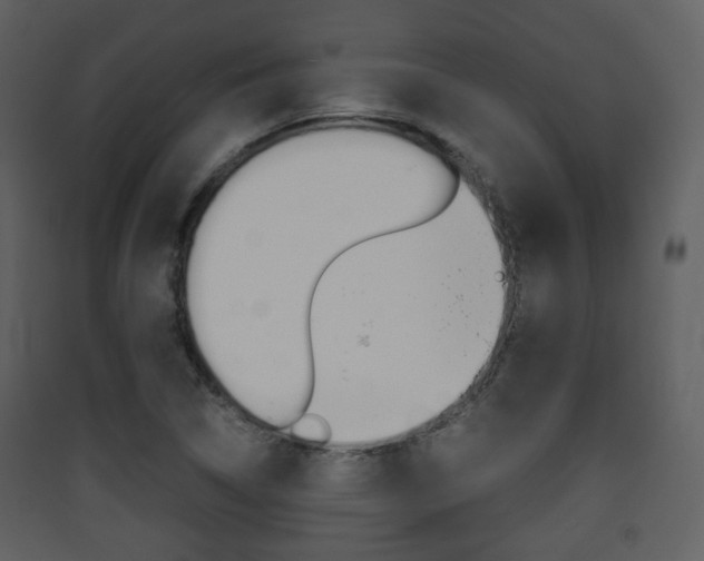 X0000090411314200707130916