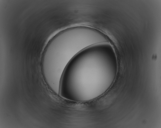 X0000090411316200707130916