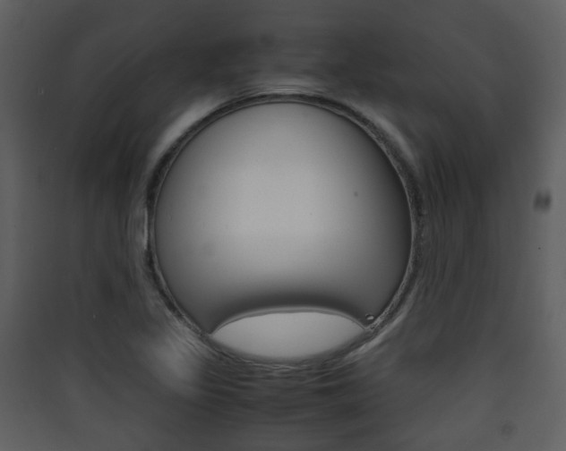 X0000090411317200707130916