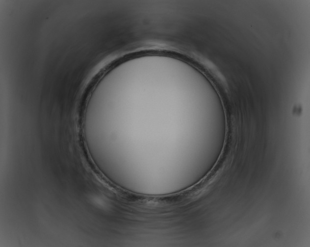 X0000090411318200707130917