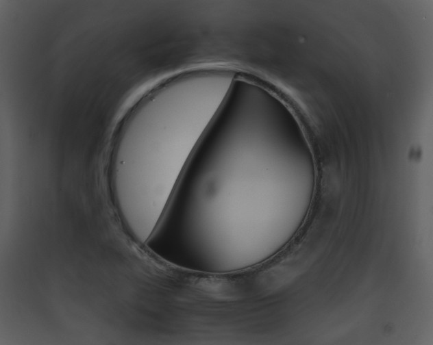 X0000090411319200707130917