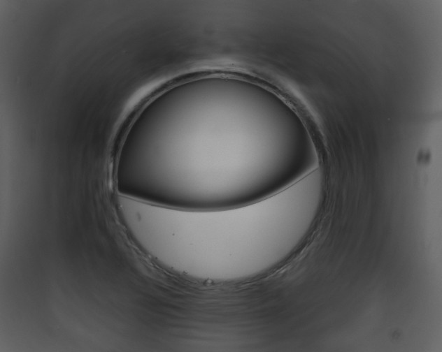 X0000090411320200707130917