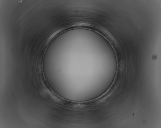X0000090411321200707130917