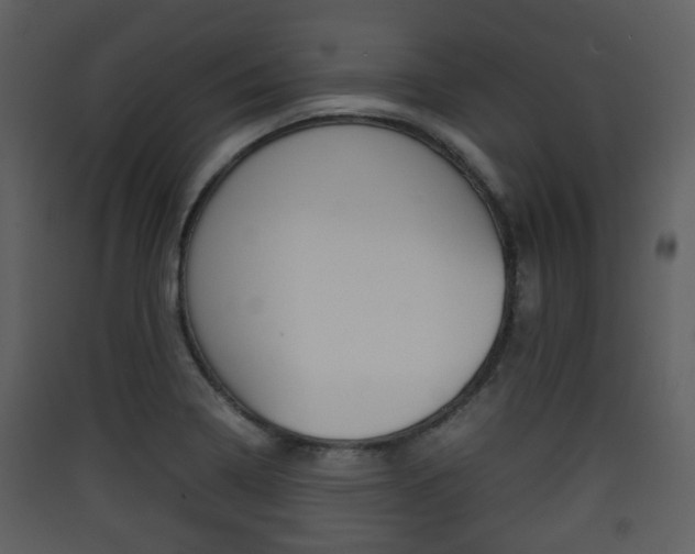 X0000090411322200707130917