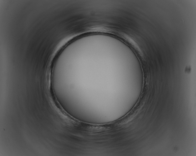 X0000090411323200707130917