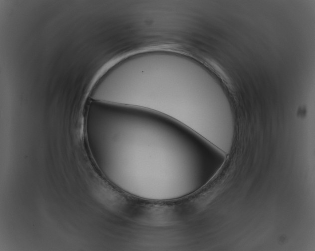 X0000090411324200707130917