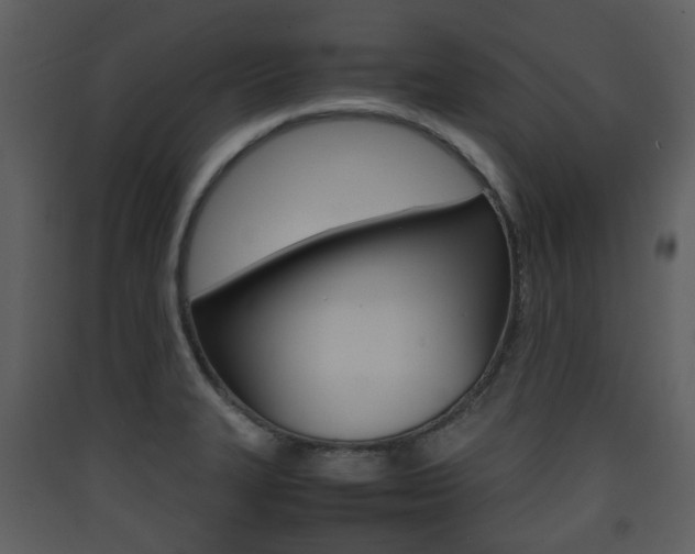X0000090411327200707130917