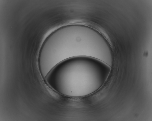 X0000090411328200707130917