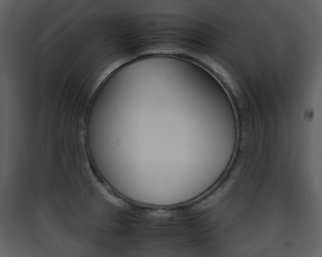 X0000090411329200707130917