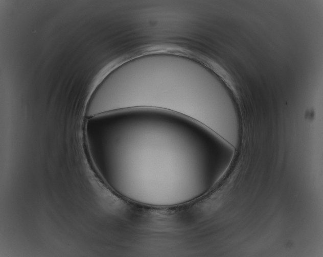 X0000090411330200707130917