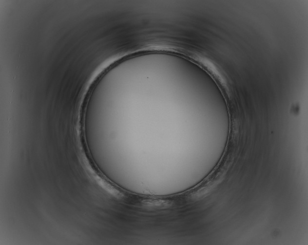 X0000090411331200707130917