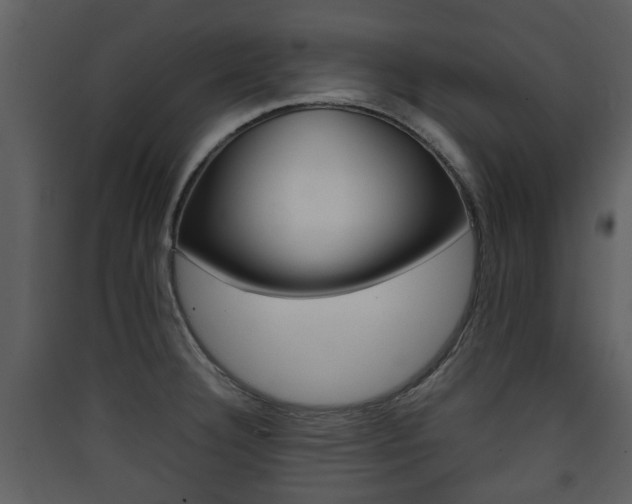 X0000090411332200707130917