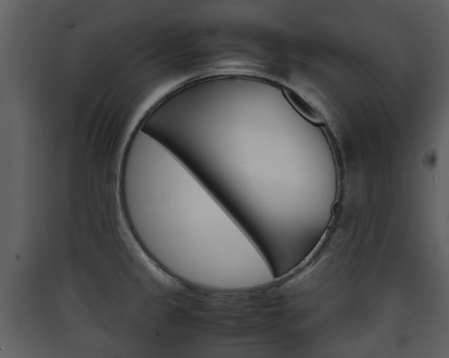 X0000090411333200707130917