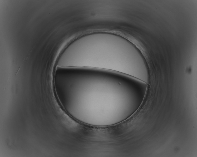 X0000090411334200707130917