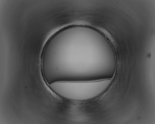 X0000090411335200707130917
