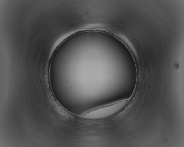 X0000090411336200707130917