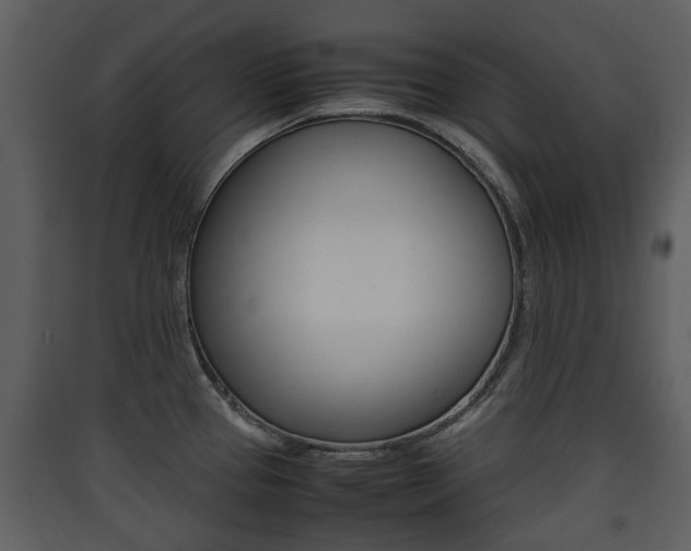 X0000090411337200707130917