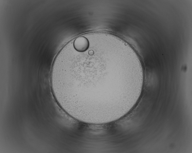 X0000090411338200707130917