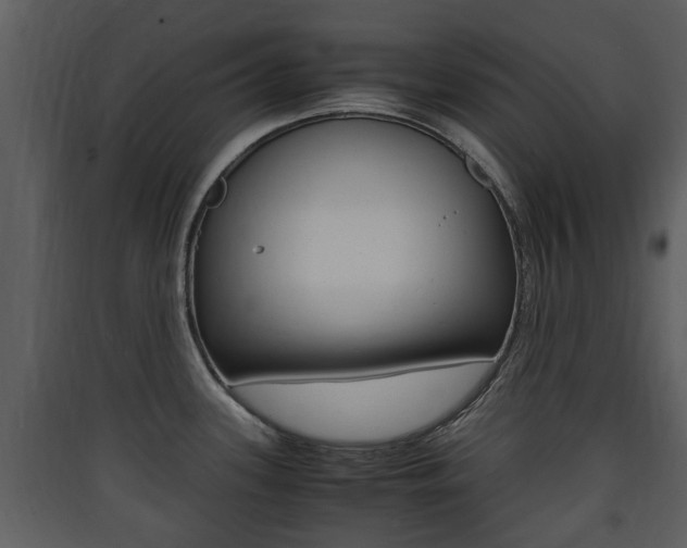 X0000090411339200707130917