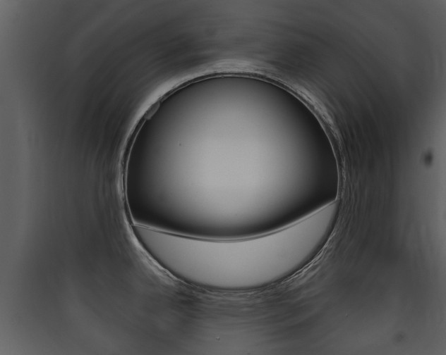 X0000090411342200707130917