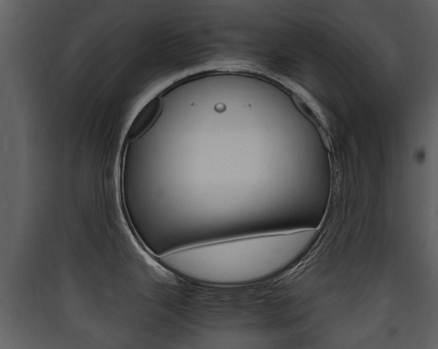 X0000090411343200707130917