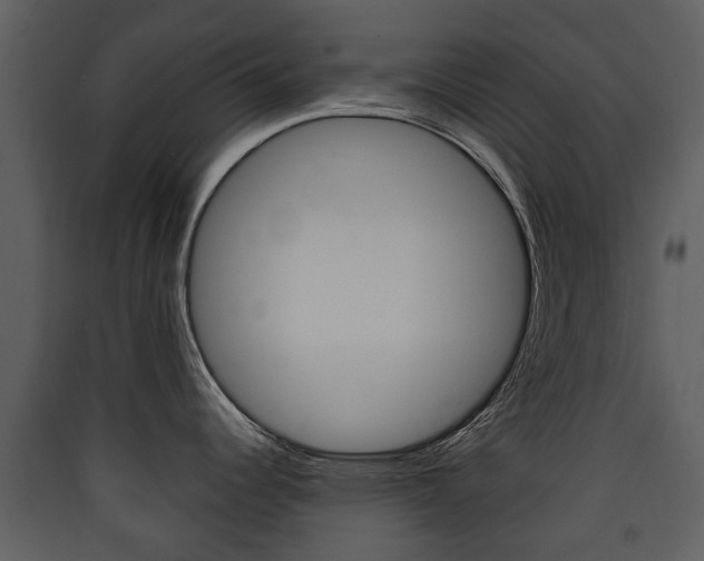 X0000090411344200707130917