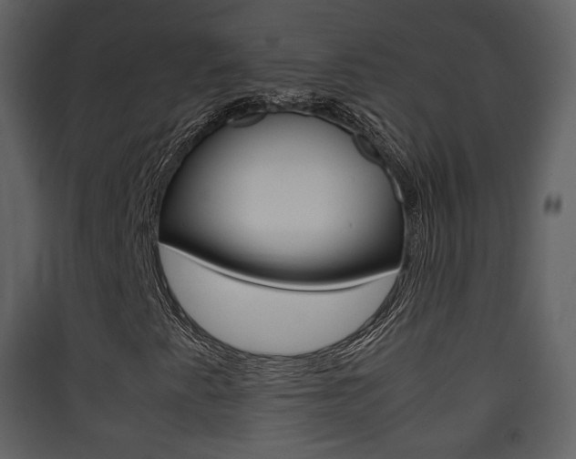 X0000090411345200707130916