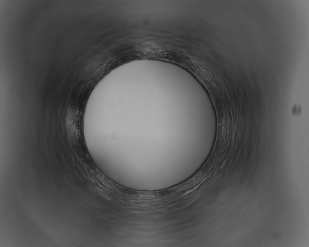 X0000090411346200707130916