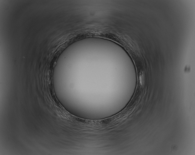 X0000090411347200707130916