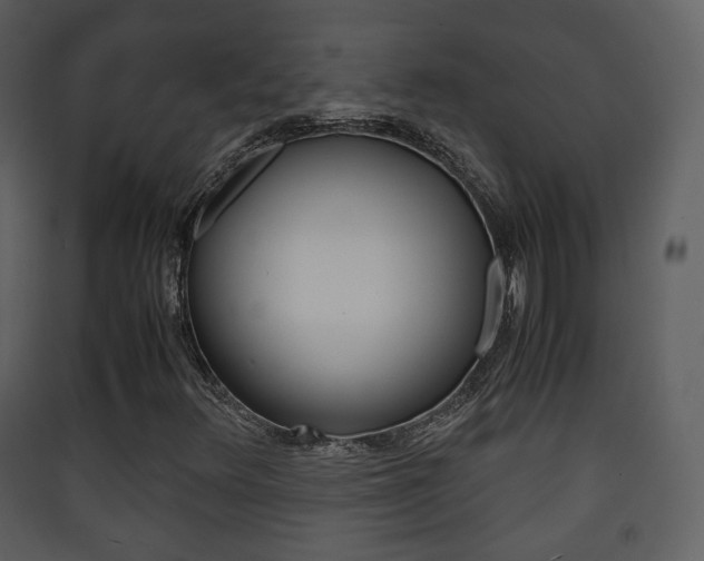 X0000090411348200707130916