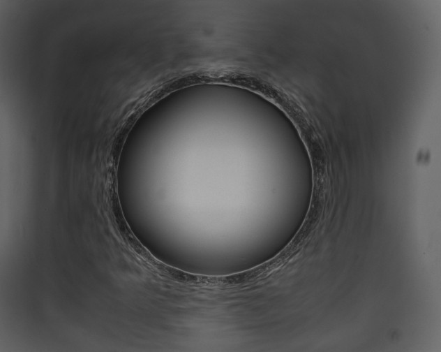 X0000090411349200707130916