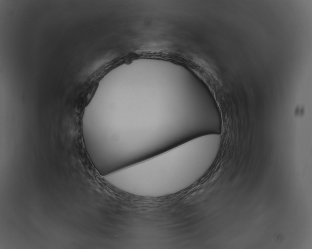 X0000090411350200707130916