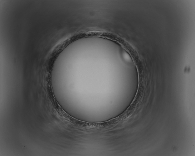X0000090411351200707130916