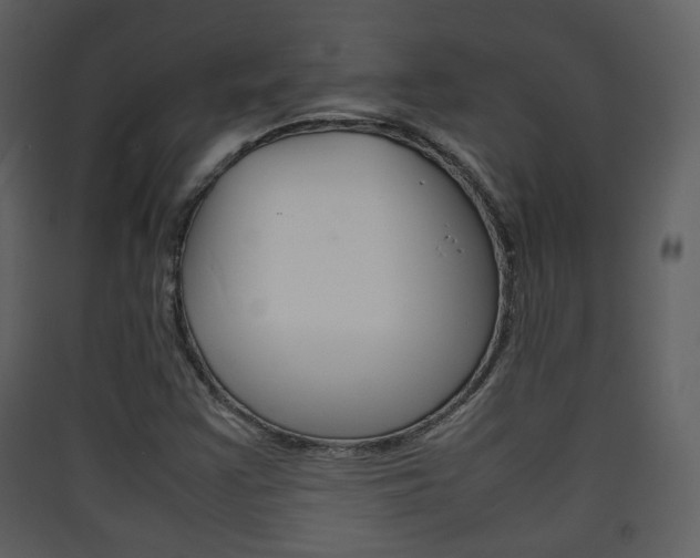X0000090411355200707130916